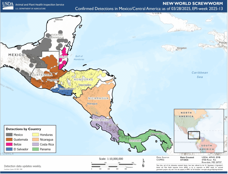 Mapa de casos de gusano barrenador | USDA